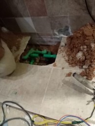 IMG_20220131_19390210758589097102